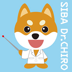 株式会社MDP　オリジナル「しばドクターチロ」大